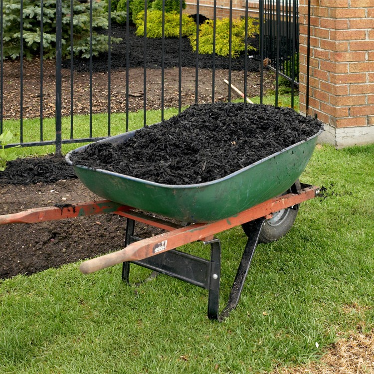 Just another WordPress site