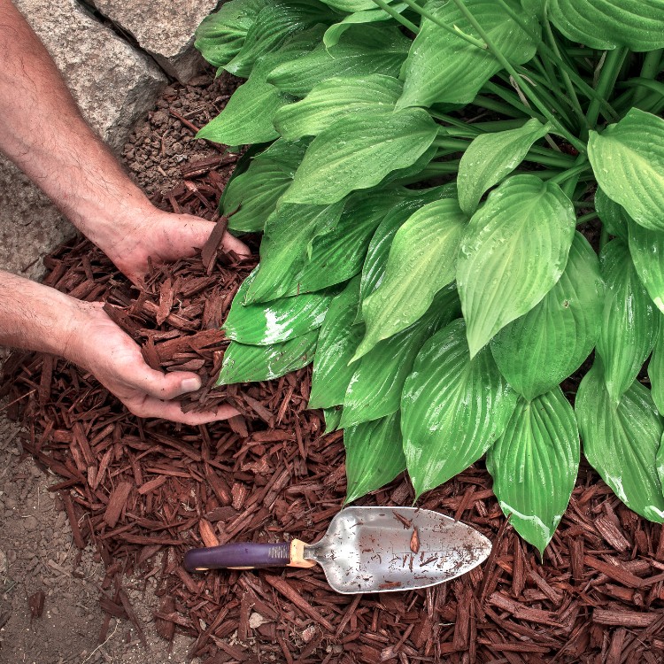 Just another WordPress site